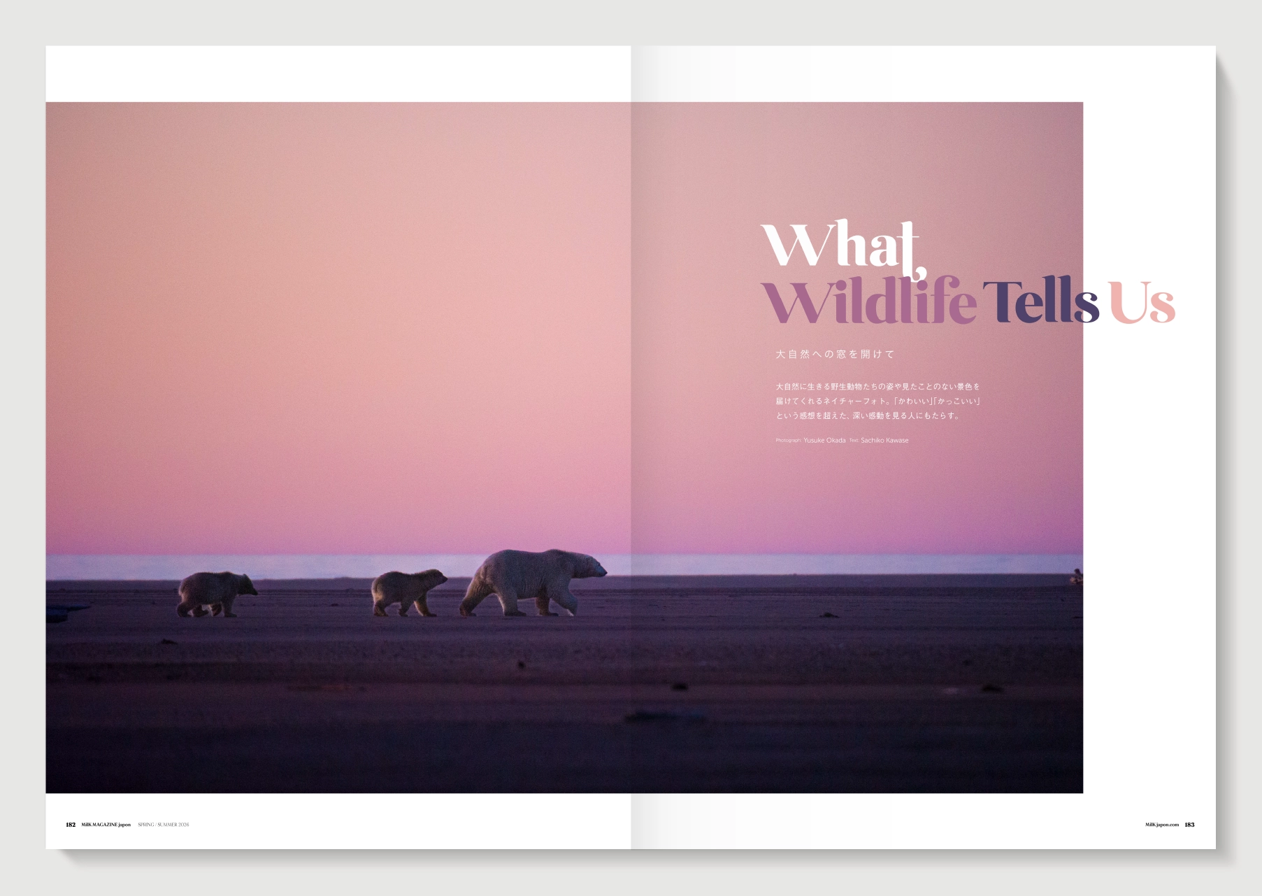 MilK MAGAZINE japon No.51